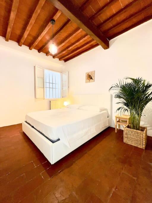 Apartmán Casa Centro Firenze Wi Fi Aria Condizionata Netflix Exteriér fotografie