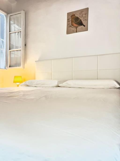 Apartmán Casa Centro Firenze Wi Fi Aria Condizionata Netflix Exteriér fotografie